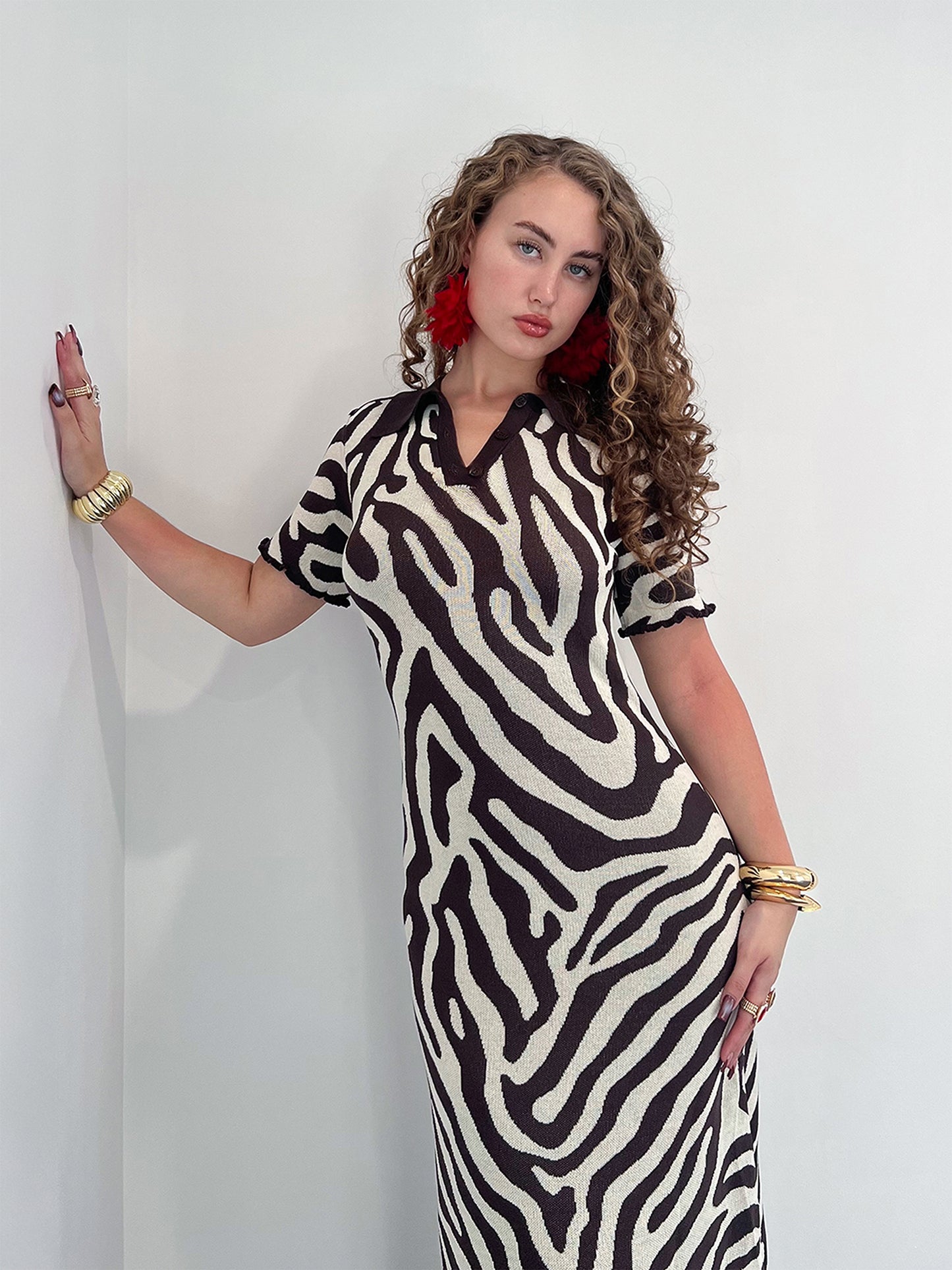 Gia Zebra Dress M Gia Zebra Dress M